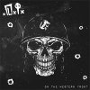 D.I. – On The Western Front LP