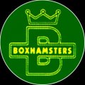 Boxhamsters