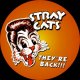 Stray Cats