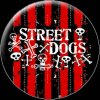 Street Dogs (1328)
