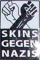 Skins Gegen Nazis (Pin)