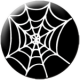 Spiderweb white