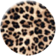 Leopard braun