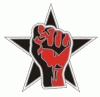 Faust mit Stern (Pin)