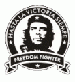 Freedom Fighter (Pin)