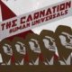 Carnation, The – Human Universals (CD)