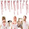 Kamikatze - Falling Down CD