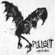 Pullout - Eagles & Vultures CD