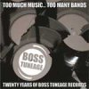 V/A - Too Much Music... Too Many Bands 4CD