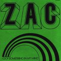 ZAC - I Got Something In My Mind EP