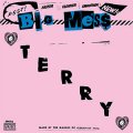 Big Mess - Terry EP