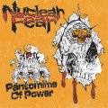 Nuclear Fear – Pantomime Of Power EP