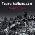 Trink- Und Sing- Gemeinschaft – Fussball & Blues LP
