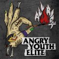 Angry Youth Elite – All Riot LP