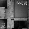 Proto – At The Foot Of The Mountain LP