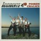 Accidents, The – Poison Chalice LP