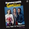Hammersmith Gorillas – Why Wait 'Til Tomorrow 1974-1981 2xLP