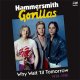 Hammersmith Gorillas – Why Wait 'Til Tomorrow 1974-1981 2xLP
