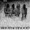 D.Y.S. – Brotherhood LP