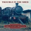Indignation Meeting - Trouble In The Shed LP (pre-order)