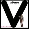 Vibrators, The – Pure Mania LP