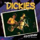 Dickies, The - Balderdash: From The Archive LP