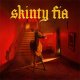 Fontaines D.C. – Skinty Fia LP
