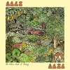 Best Bets - The Hollow Husk Of Feeling LP (pre-order)