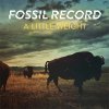 Fossil Record – A Little Weight LP