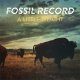 Fossil Record – A Little Weight LP