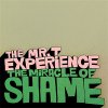 Mr. T Experience - Miracle Of Shame 12"