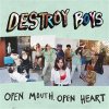 Destroy Boys – Open Mouth, Open Heart LP