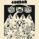 Condor – Singles 2017-2018 LP