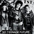TST - No Teenage Future LP
