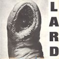 Lard - Power Of Lard col LP