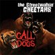Streetwalkin' Cheetahs, The – Call The Dogs 10"