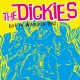 Dickies, The – Live In Winnipeg 1982 LP Dickies, The – Live In Winnipeg 1982 LP