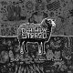 Death By Stereo - Black Sheep Of The American Dream LP