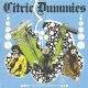 Citric Dummies - Split With Turnstile LP