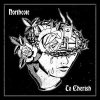 Northcote - To Cherish LP (pre-order)