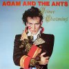 Adam And The Ants – Prince Charming LP