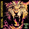 Social Distortion - Born To Kill 2xLP (pre-order)