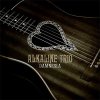 Alkaline Trio – Damnesia 2xLP