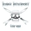 Teenage Bottlerocket - Stay Rad! col LP (pre-order)