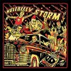 Demented Are Go – Hellbilly Storm LP