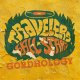 Travelers Allstars – Gordhology LP
