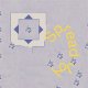 Spread Joy – Same LP