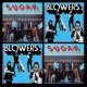 Split - Blowers/ S.U.G.A.R. 10"