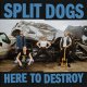 Split Dogs - Here To Destroy LP (pre-order)