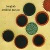 Lungfish – Artificial Horizon LP